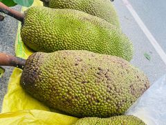 -三亚海棠湾万丽度假酒店