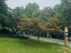 -浙江大学(玉泉校区)