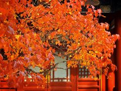 -潭柘寺景区