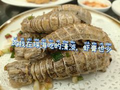 椒盐濑尿虾-吴记富苑(朝阳店)