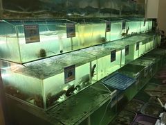 -琼大师东方烤乳猪(亚特兰蒂斯店)