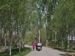 -东郊湿地公园