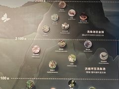 -四川大学博物馆