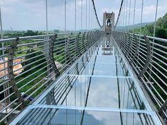 -客天下恐龙水晶玻璃桥