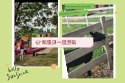 -长沙小顽国景区