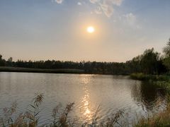 -东郊湿地公园