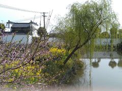-南汇桃花村