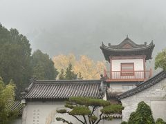 -都江堰石锅鱼