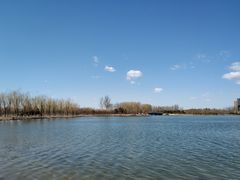 -大兴滨河森林公园