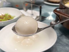 -丁老爷子苏香圆