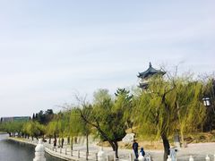 -莱西月湖公园