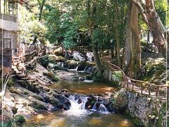 -灵光寺