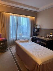 -巍阁高端月子会所