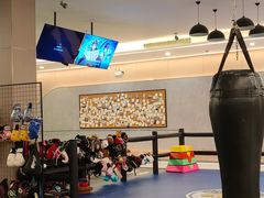 -章鱼健身 Octopus