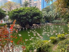 -九龙公园