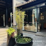 煊煊美食探店｜番禺沙湾古镇私房菜｜怀德私厨