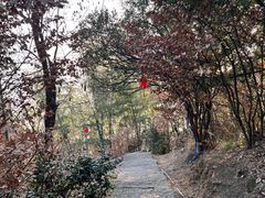 -长沙黑麋峰国家森林公园