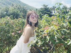 -亚龙湾国际玫瑰谷