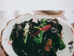 -光明渔港(海悦天地店)