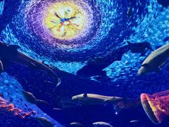 -海合安武汉极地海洋公园