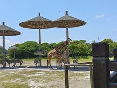 -宁波野生动物园