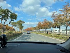 -上海长兴岛郊野公园