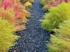 -汉长安城未央宫国家考古遗址公园