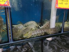 -蚝专家(北滘店)