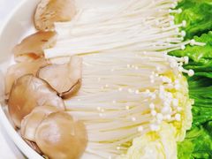 -红鼎豆捞·非遗鲍皇汤火锅(宝丰路店)