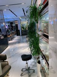 -罗亚帝造型·烫发染发