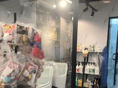 -PETKIT 小佩宠物·低压洗护·美容·寄养(安远店)