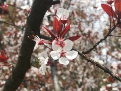 -大宁灵石公园西门票处