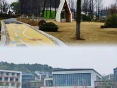 -铁山坪森林公园