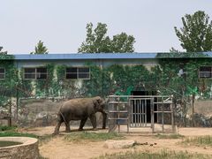 -西安秦岭野生动物园