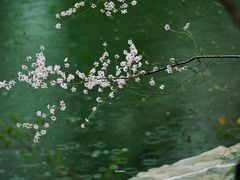 -颐和园