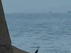 -汕尾风车岛