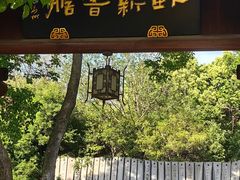 -白马涧龙池景区