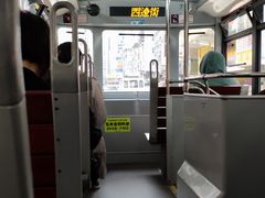 -正斗潮州卤鹅