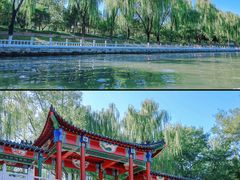 -皇家御河游(紫御湾码头)