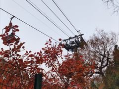 -香山公园