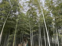 -陶祖圣境风景区