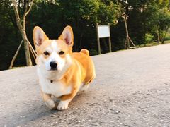 -蜀冈西峰生态公园