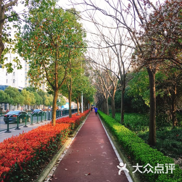 上海泾南公园图片