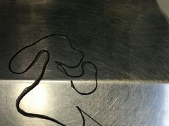 -北京观赏动物医院·24小时大型综合·猫专科·异宠专科