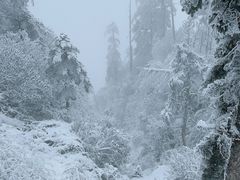 -瓦屋山景区