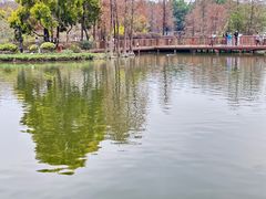 -海珠湖公园