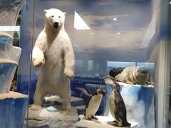 -国家自然博物馆