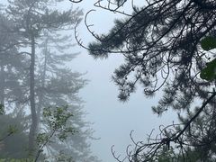 -塔云山