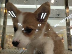 -乐宠宠物店(世纪金源店)