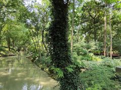 -陈家山荷花公园